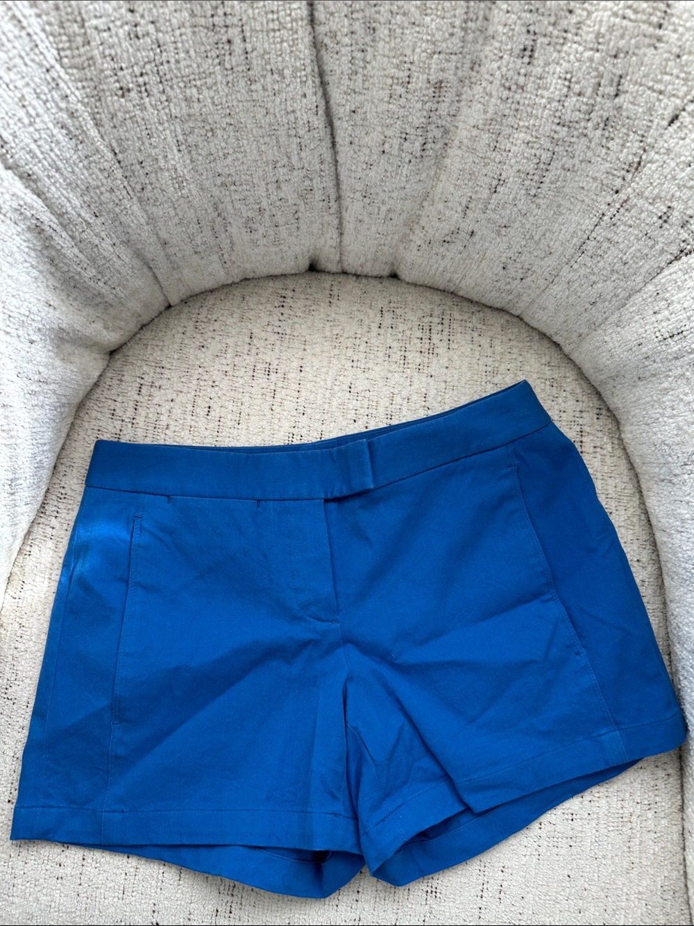 Theory Blue Shorts